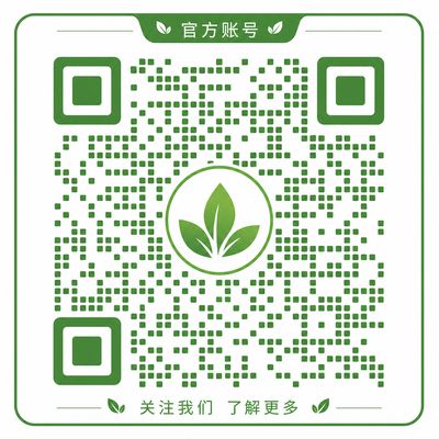 抖荫短视频